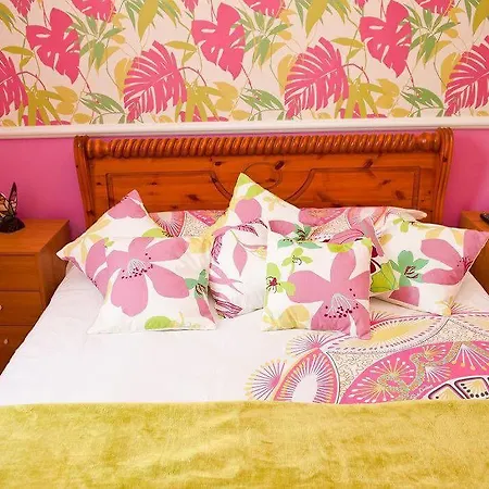 The Travel And 招待所